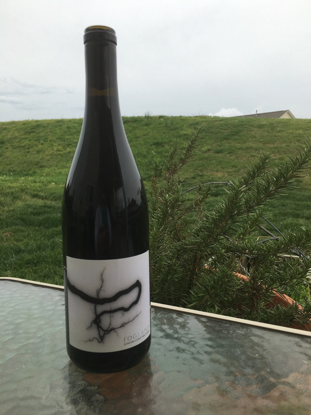 Fog Land Pinot&nbsp;Noir
